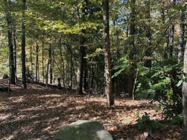 18 W Wesley Ridge , Atlanta, GA 30327