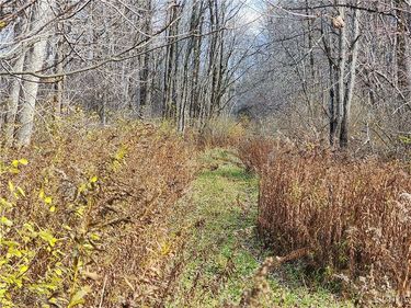 Rt-294, Boonville, NY 13309