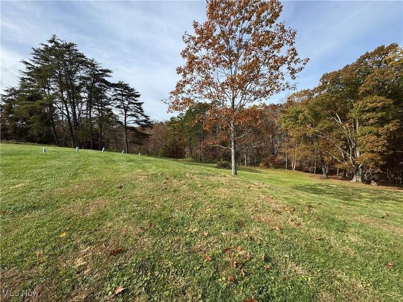 1015 Brackenridge Road, Vincent, OH 45784 Photo 39