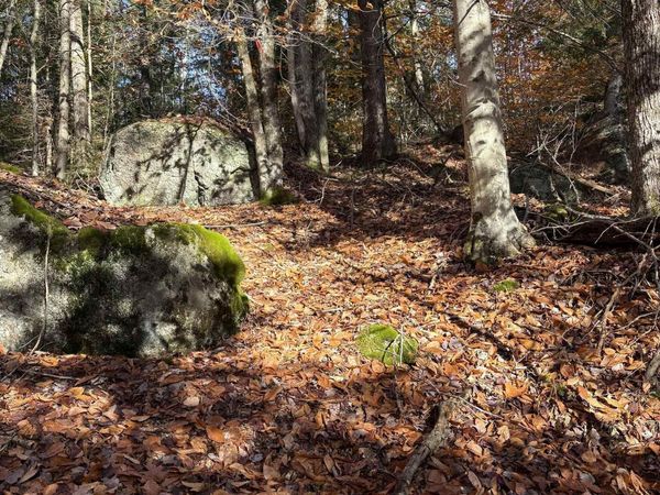 Lot 77-7 East Washington Road, Washington, NH 03280