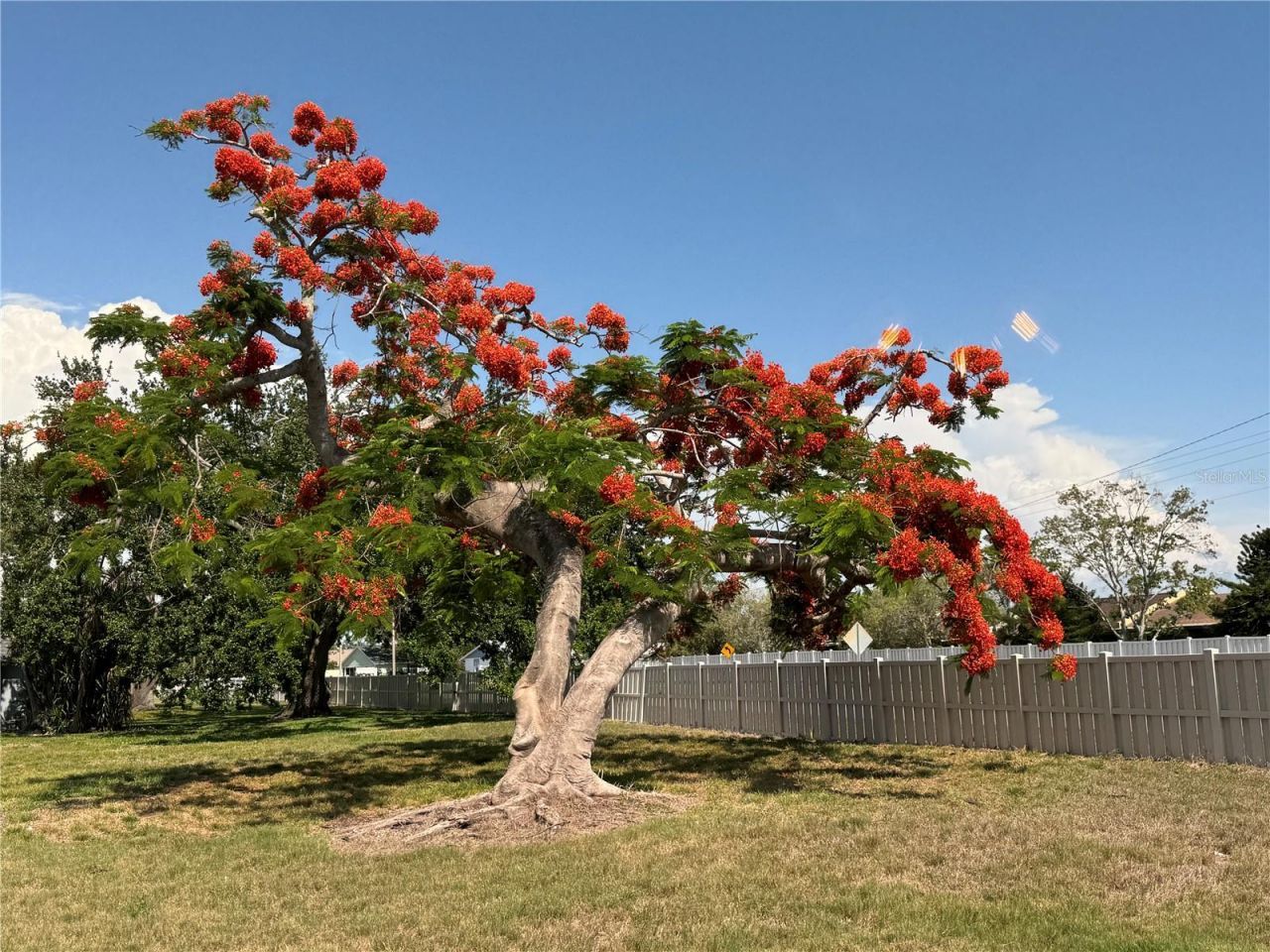 3813 42nd Street W, Unit 37, Bradenton, FL 34205 Photo