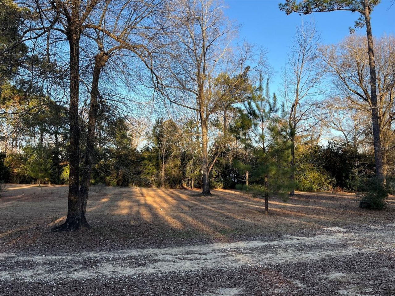 3174 Westwood Dr, Marianna, FL 32446 Photo