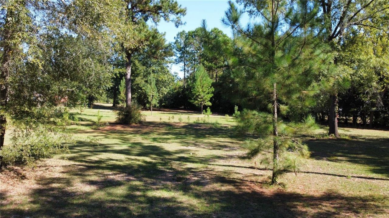 3174 Westwood Dr, Marianna, FL 32446 Photo