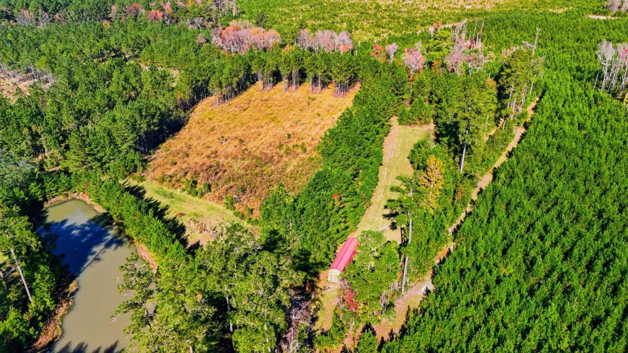 815 Rentz Drive Photo 10