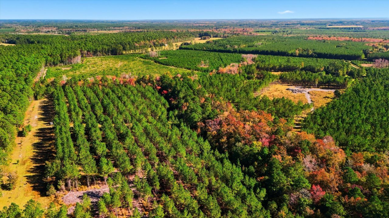 815 Rentz Drive Photo 11