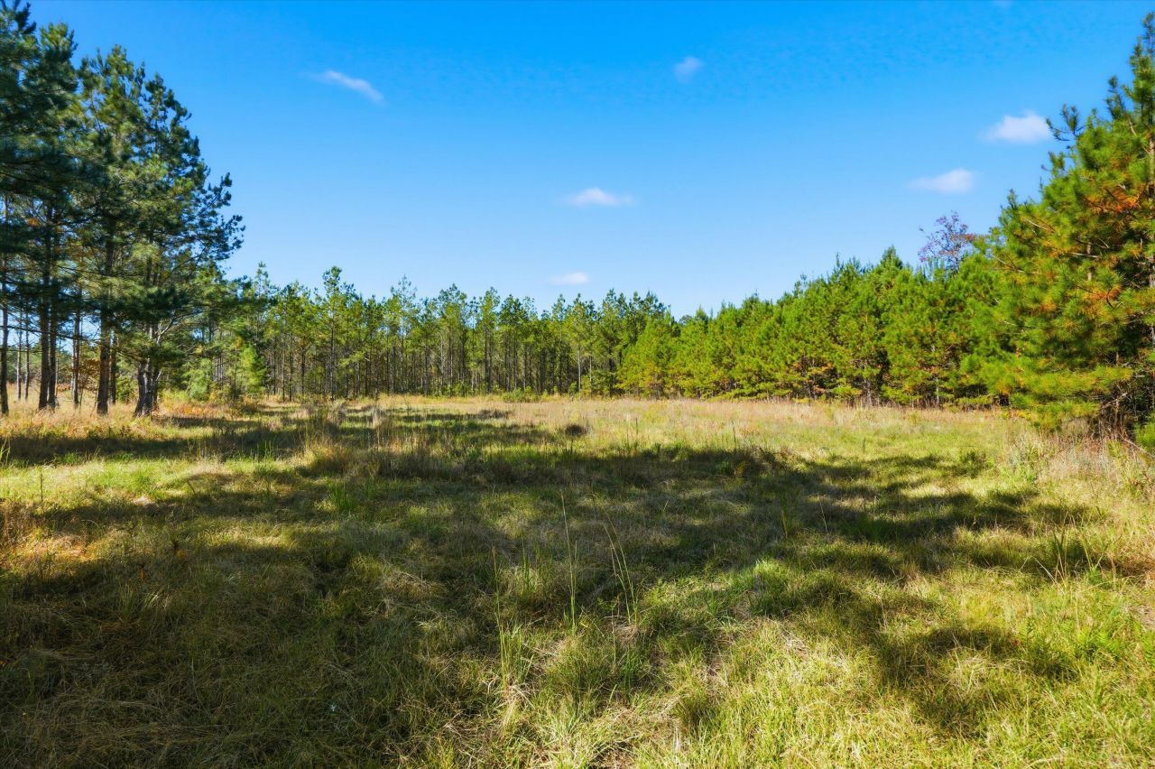 815 Rentz Drive Photo 13