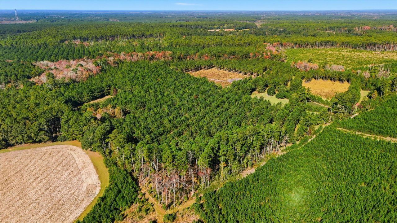 815 Rentz Drive Photo 14