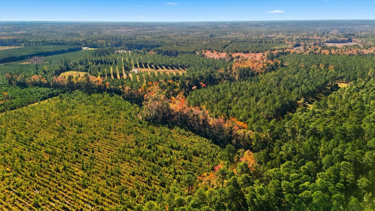 815 Rentz Drive Photo 15