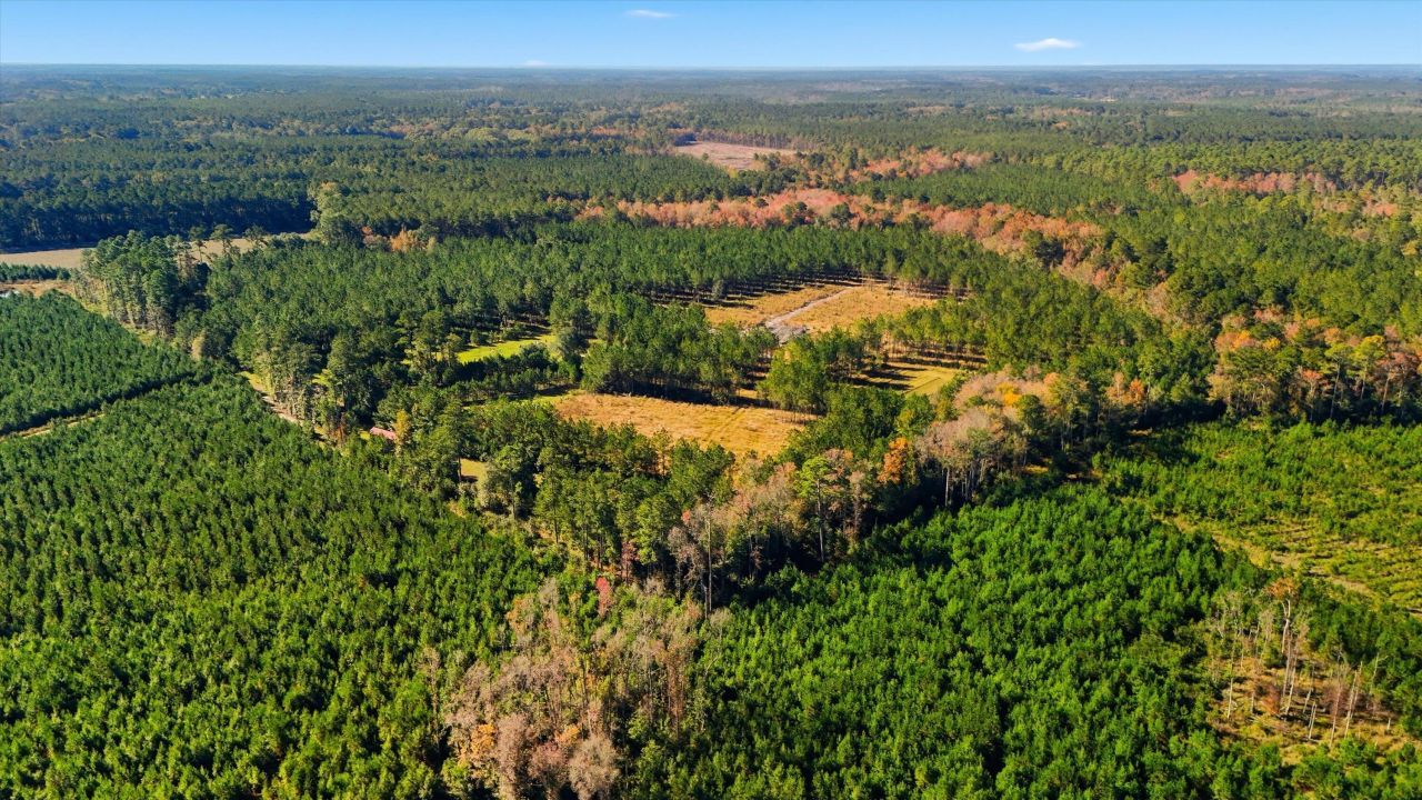 815 Rentz Drive Photo 16