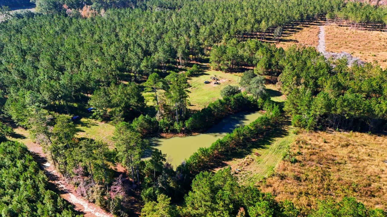 815 Rentz Drive Photo 17