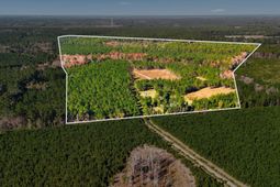 815 Rentz Drive photo 4