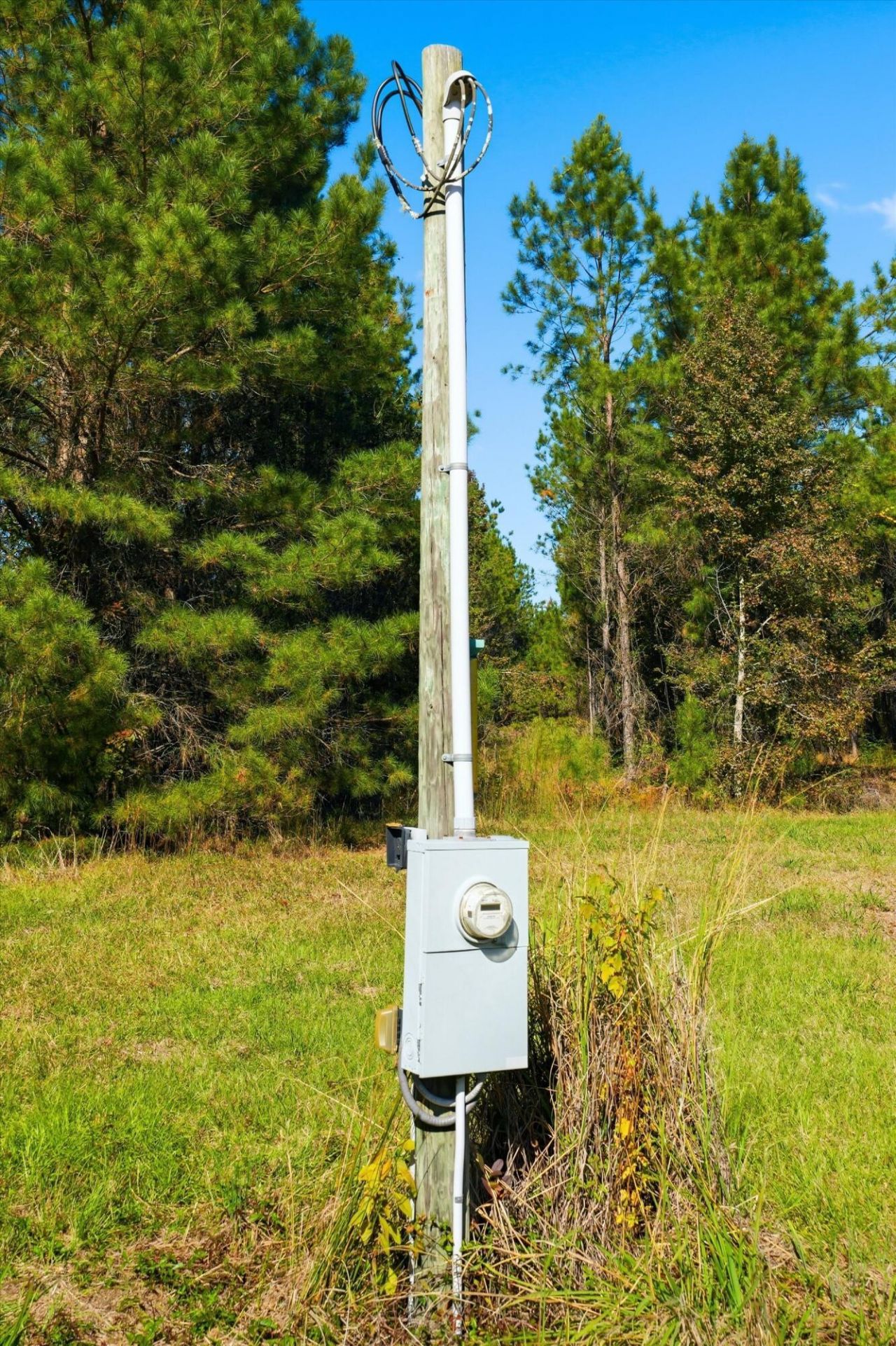 815 Rentz Drive Photo 21