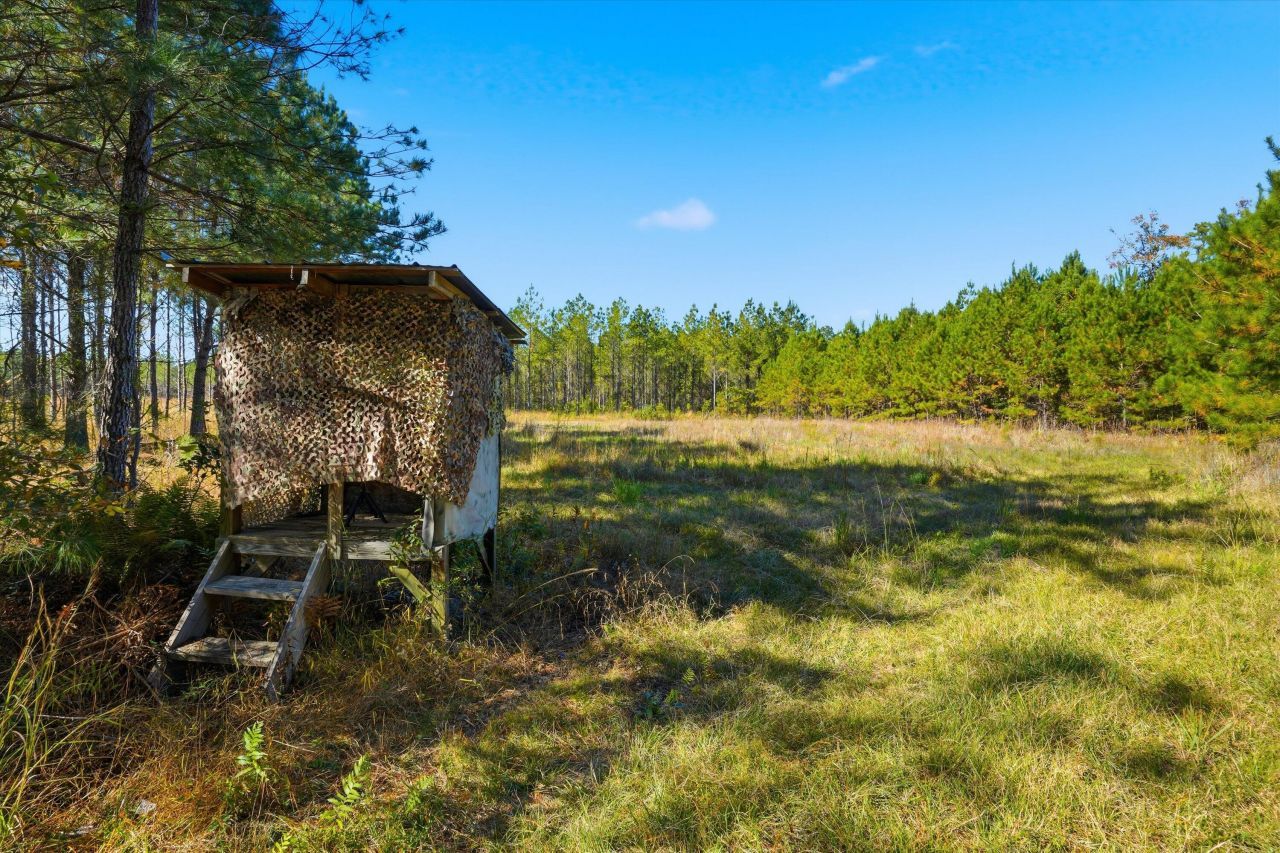 815 Rentz Drive Photo 22