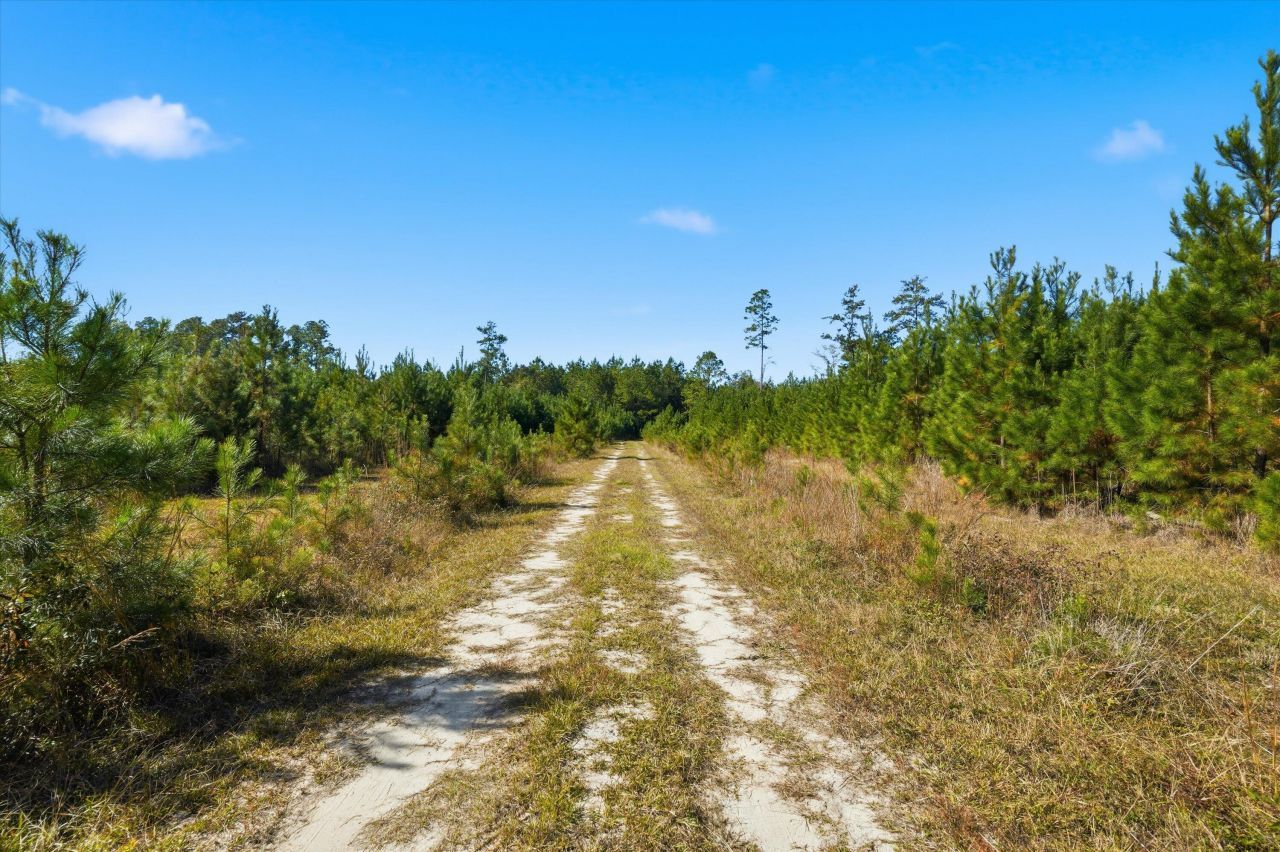 815 Rentz Drive Photo 23