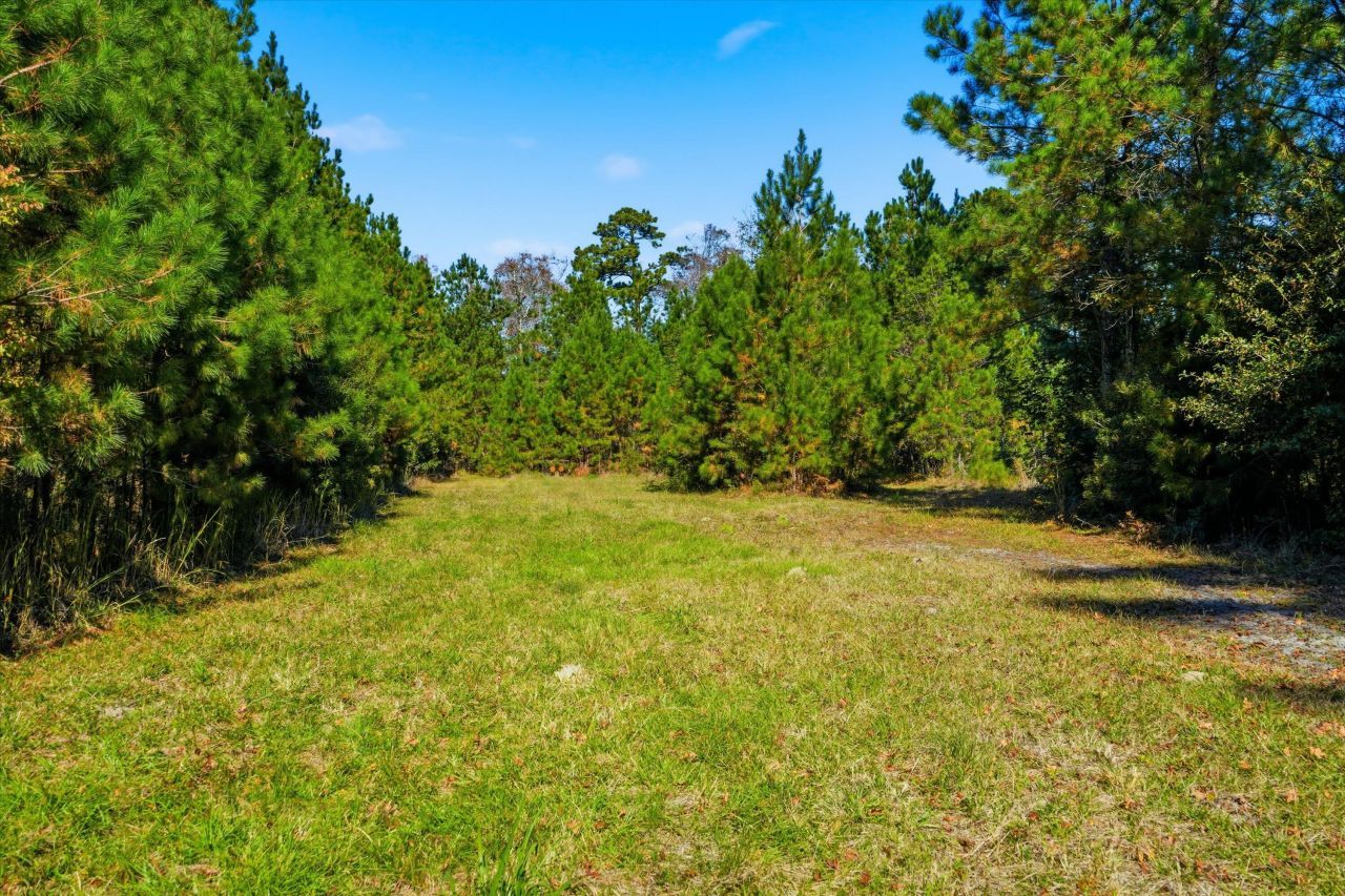 815 Rentz Drive Photo 25