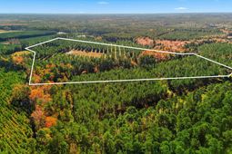 815 Rentz Drive photo 4