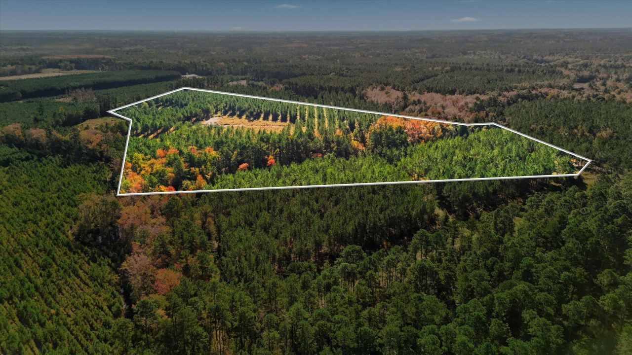 815 Rentz Drive Photo 4