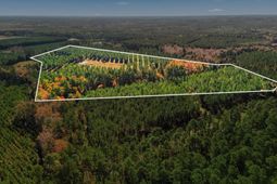 815 Rentz Drive photo 4