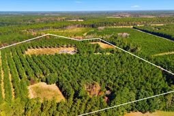 815 Rentz Drive photo 4