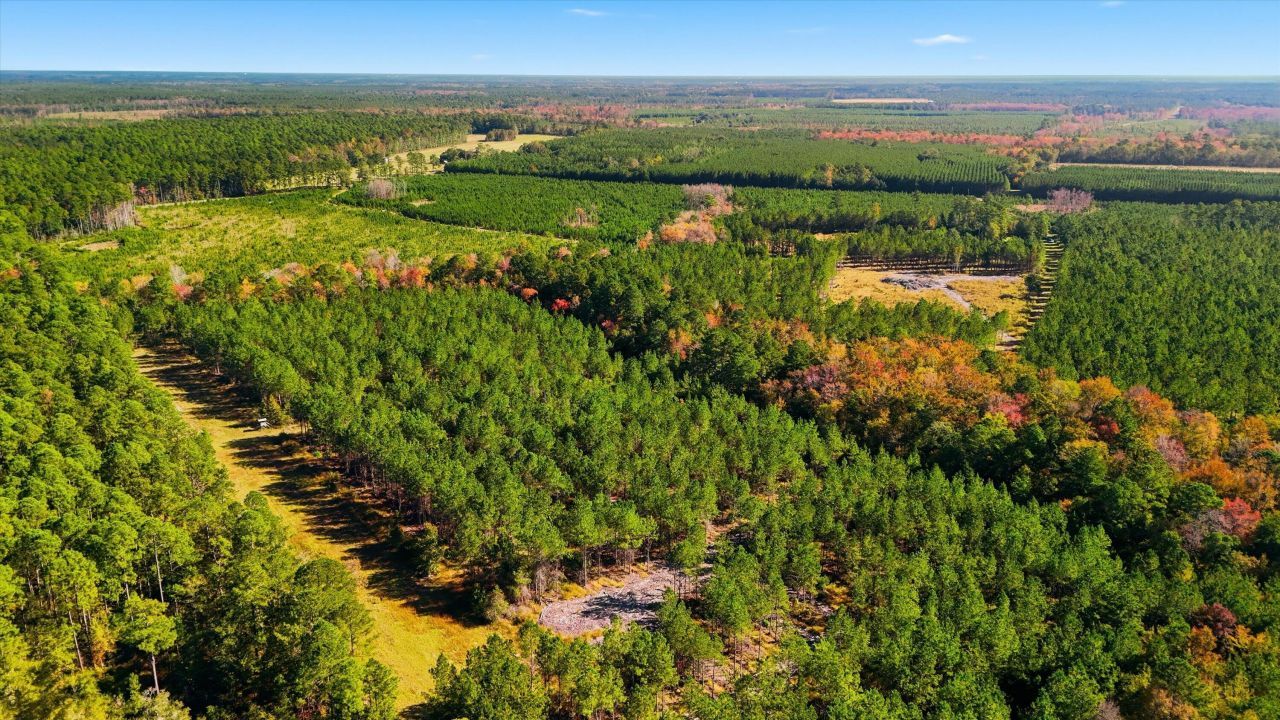 815 Rentz Drive Photo 6