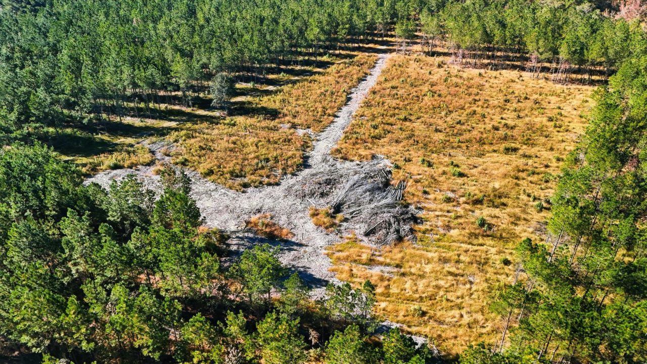 815 Rentz Drive Photo 9