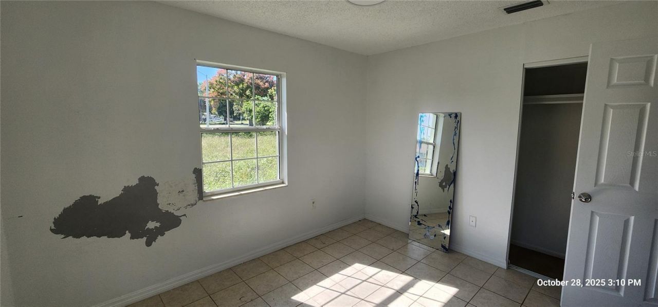 320 Plumosa Avenue, Lehigh Acres, FL 33936 Photo
