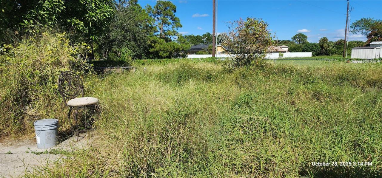 320 Plumosa Avenue, Lehigh Acres, FL 33936 Photo