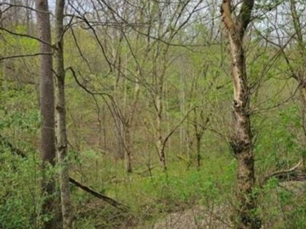 1247 Rocky Branch Road, Looneyville, WV 25259