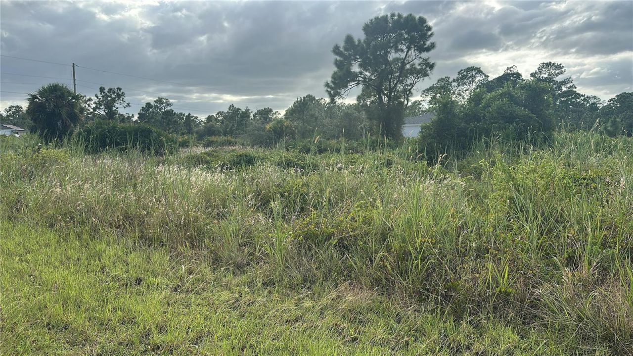 745 Avondale Street E, Lehigh Acres, FL 33974 Photo