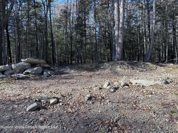 1470 County Road 2 , Olive, NY 12461