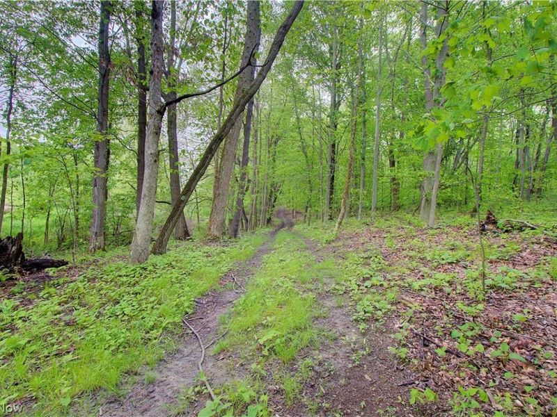 3637 Old Forge Road, Rootstown, OH 44272 Photo 12
