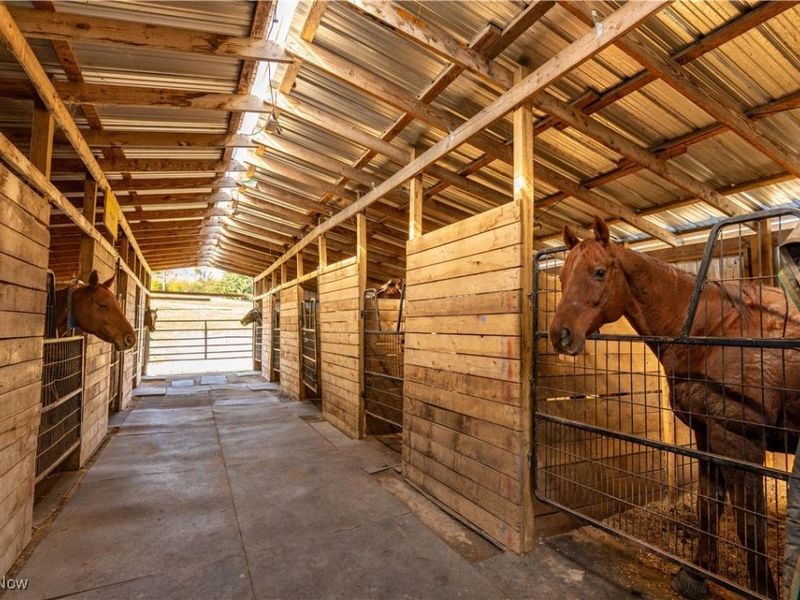 3637 Old Forge Road, Rootstown, OH 44272 Photo 19