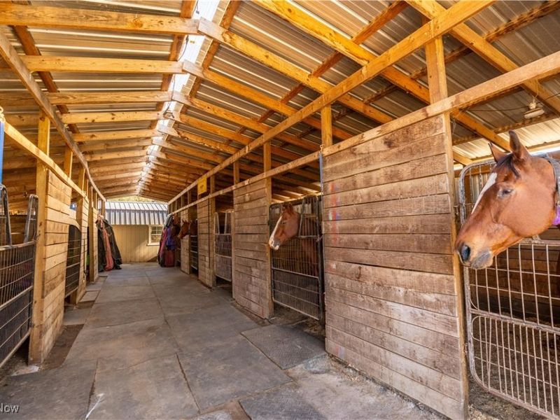 3637 Old Forge Road, Rootstown, OH 44272 Photo 20