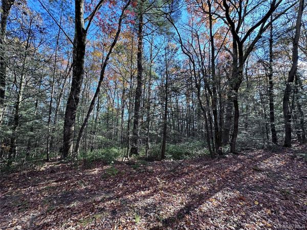 Lot 2 Upper Cherrytown Road, Kerhonkson, NY 12446
