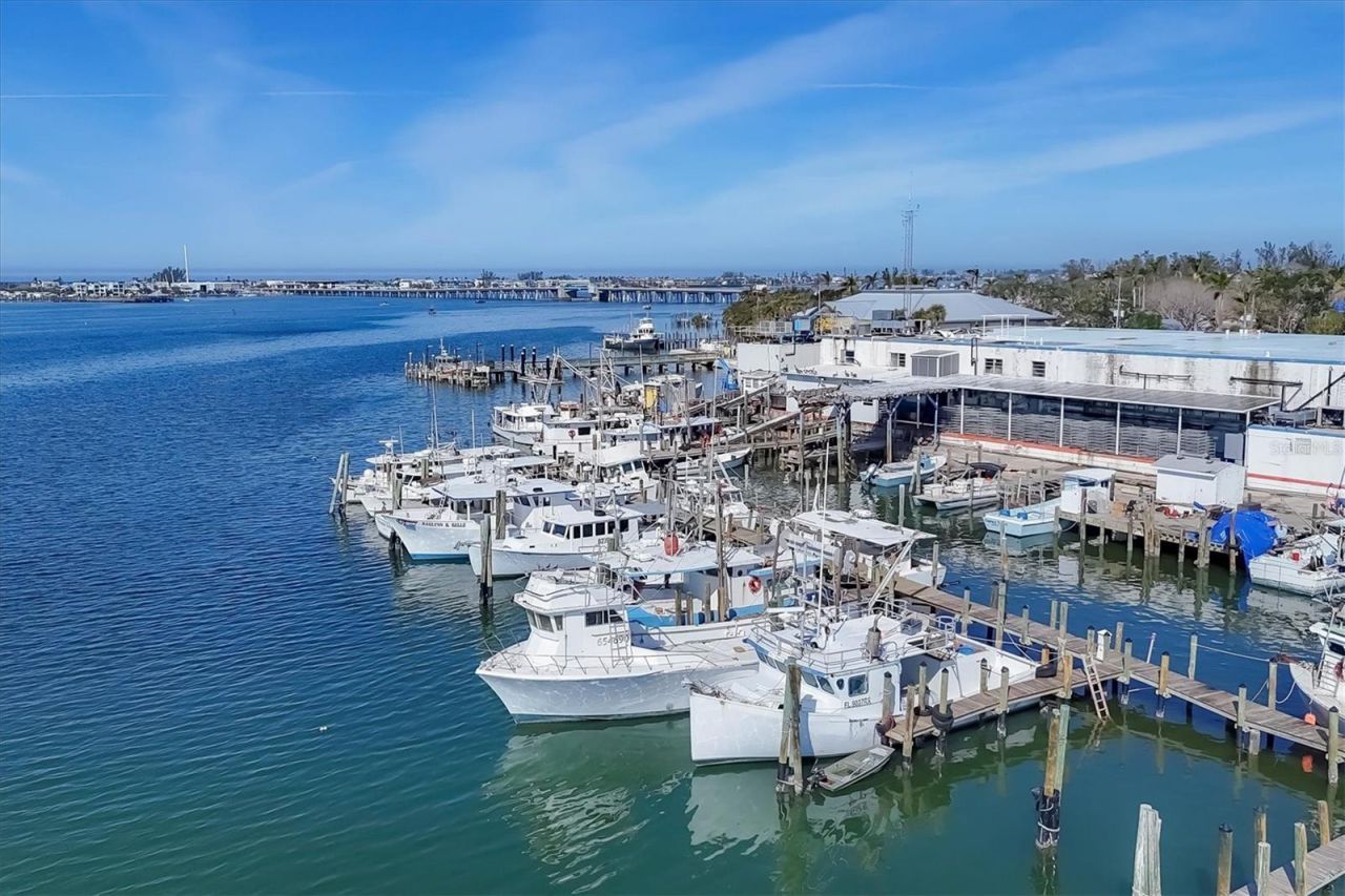 4515 Mangrove Point Road, Bradenton, FL 34210 Photo