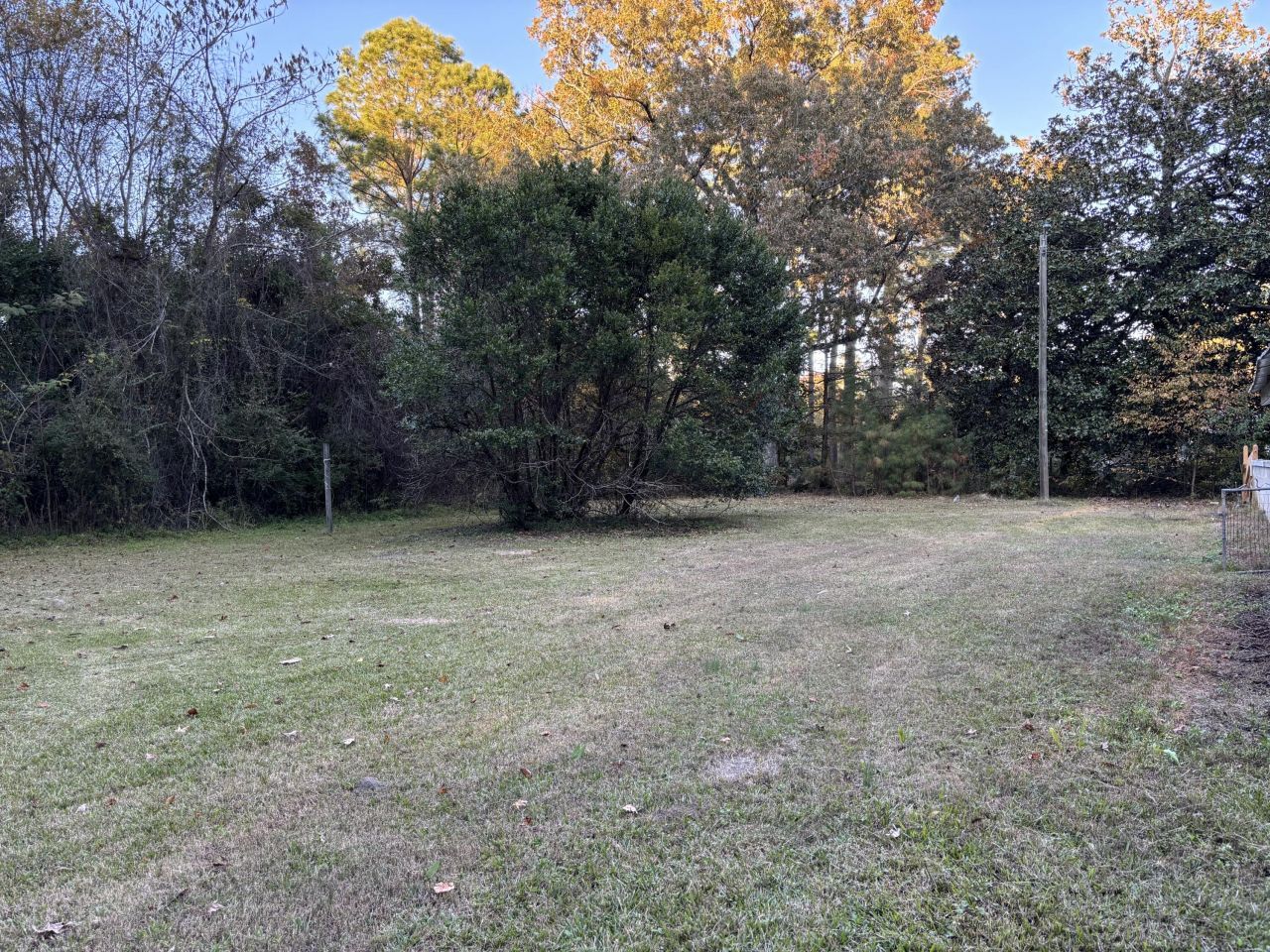 4591 Cameron Road Photo 11