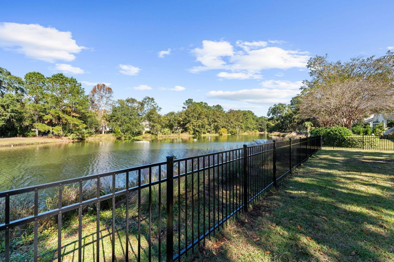 1259 Palmetto Peninsula Drive Photo 44