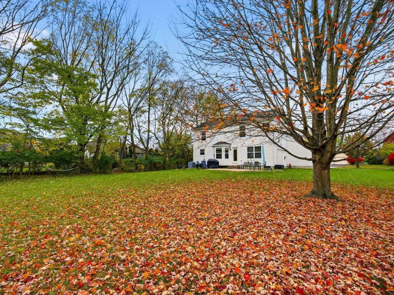 6498 Wyndburne Drive, Dublin, OH 43016 Photo 66