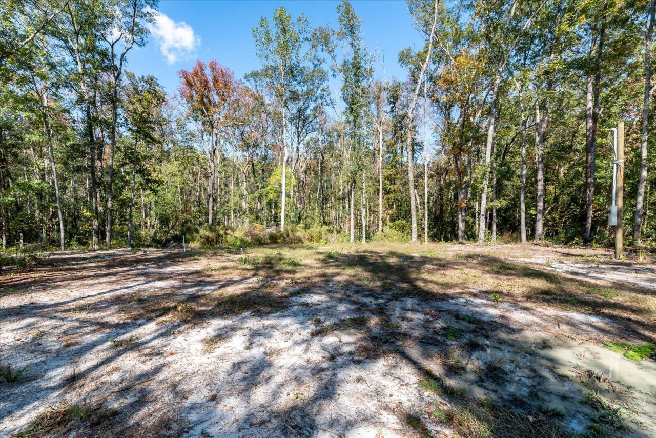 3022 Burlington Road Photo 4