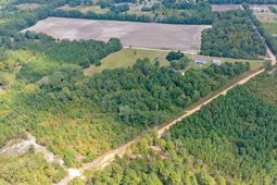 Tbd Bachman Dykes photo 4