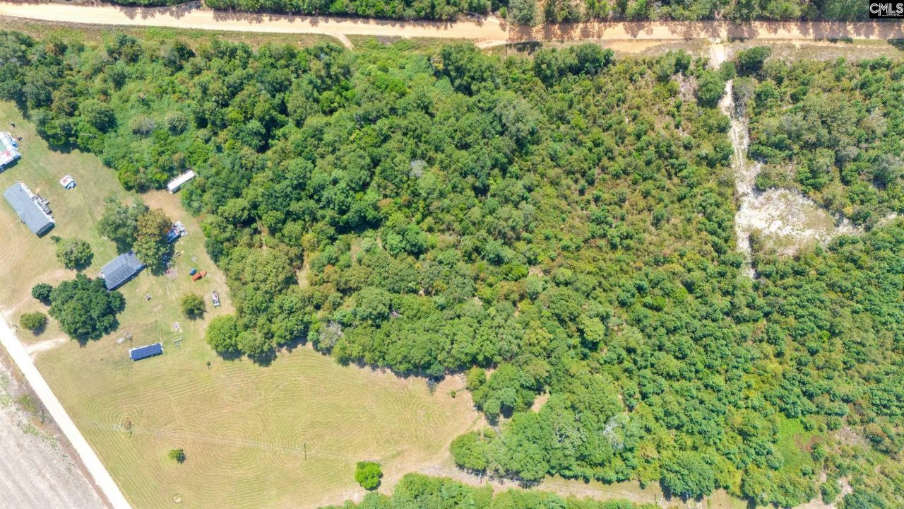 Tbd Bachman Dykes Photo 4