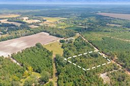 Tbd Bachman Dykes photo 4