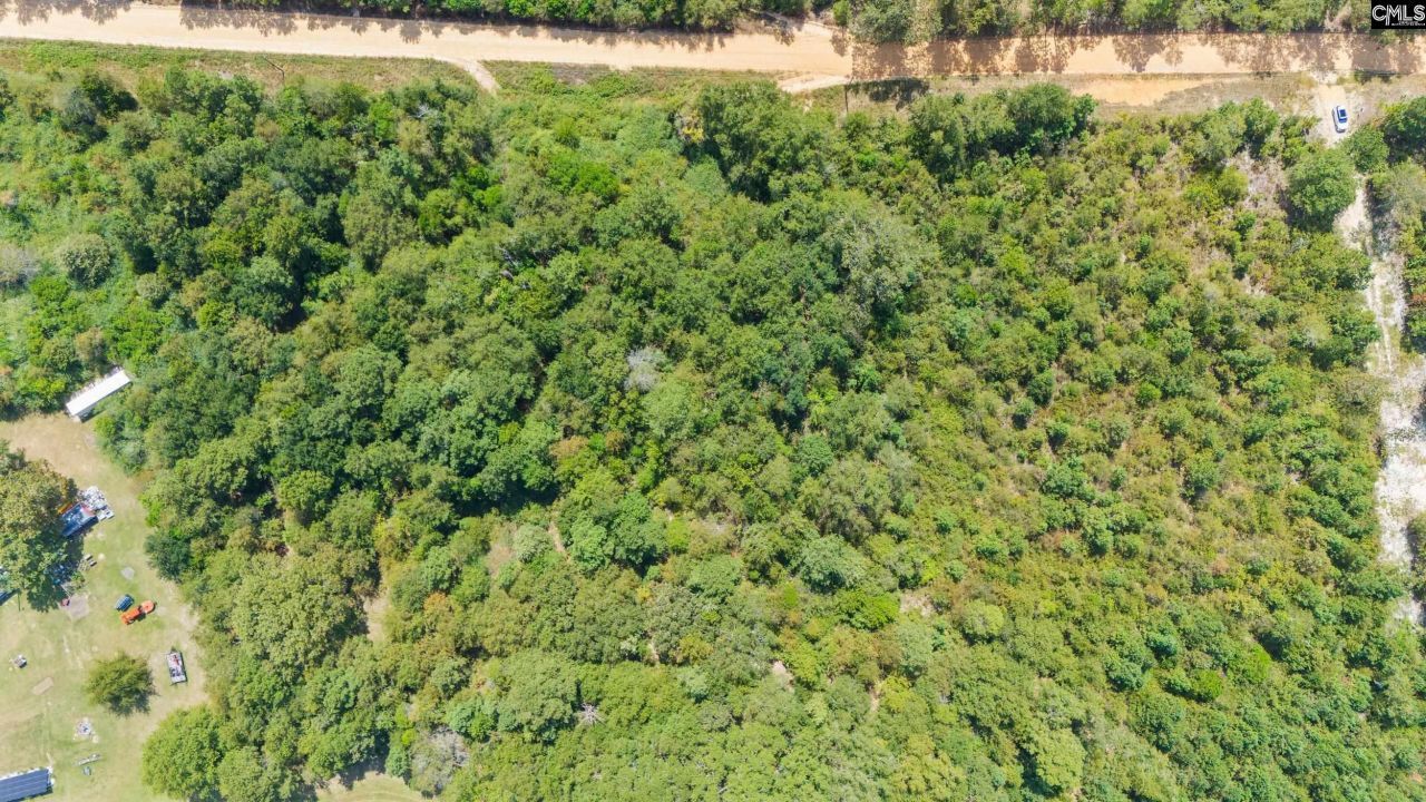 Tbd Bachman Dykes Photo 6