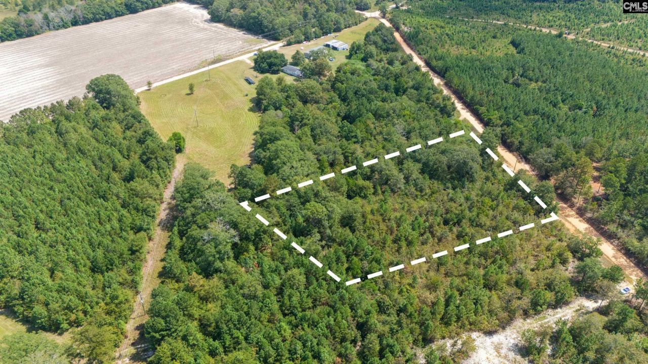 Tbd Bachman Dykes Photo 7