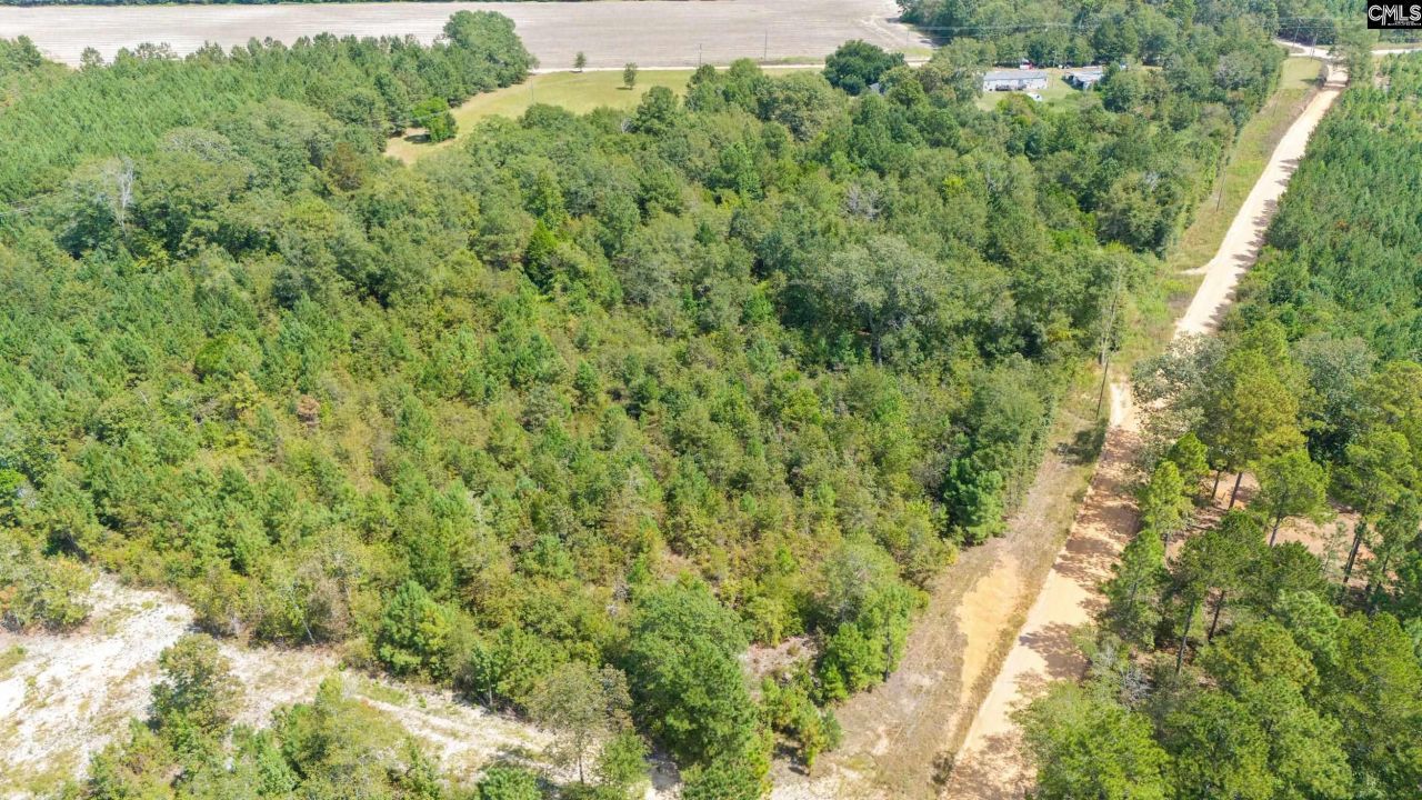 Tbd Bachman Dykes Photo 8