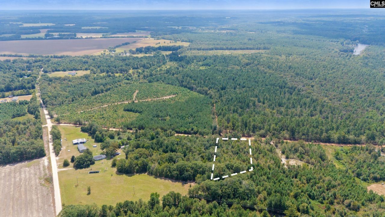 Tbd Bachman Dykes Photo 9