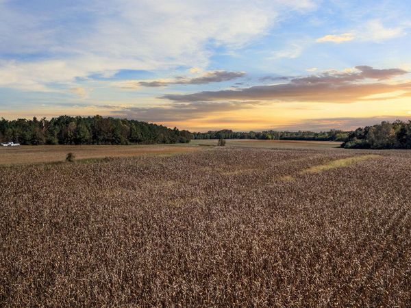 0 Nc 43, Whitakers, NC 27891