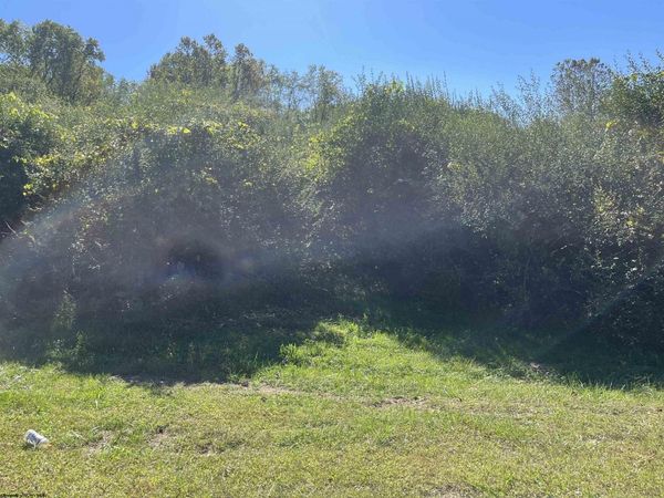 TBA Maple Street, Jane Lew, WV 26378