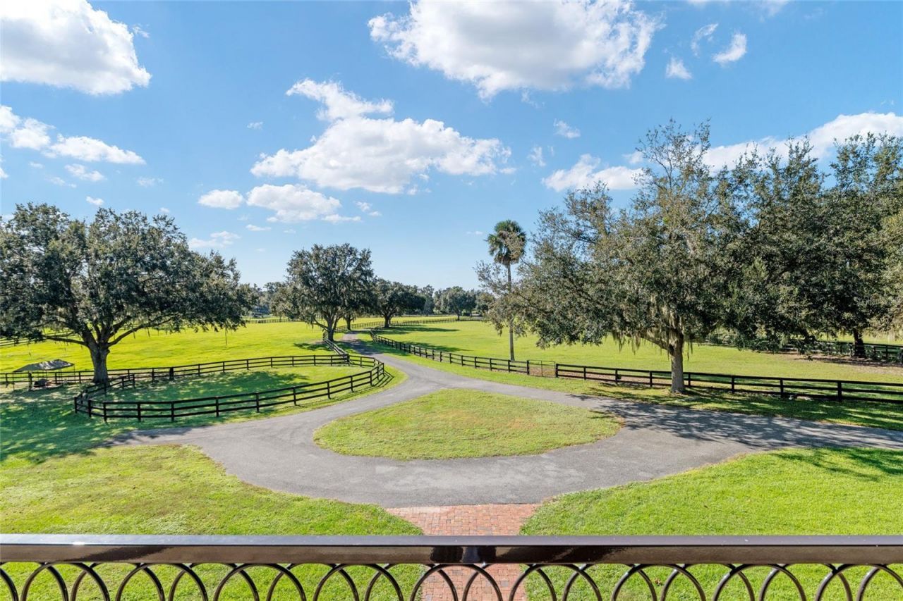 901 SW 87th Place, Ocala, FL 34476 Photo