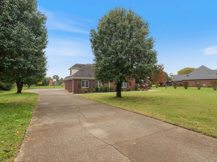 Property Image 53